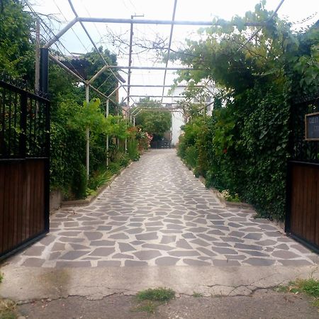 Guesthouse Giorgi Telawi Zewnętrze zdjęcie