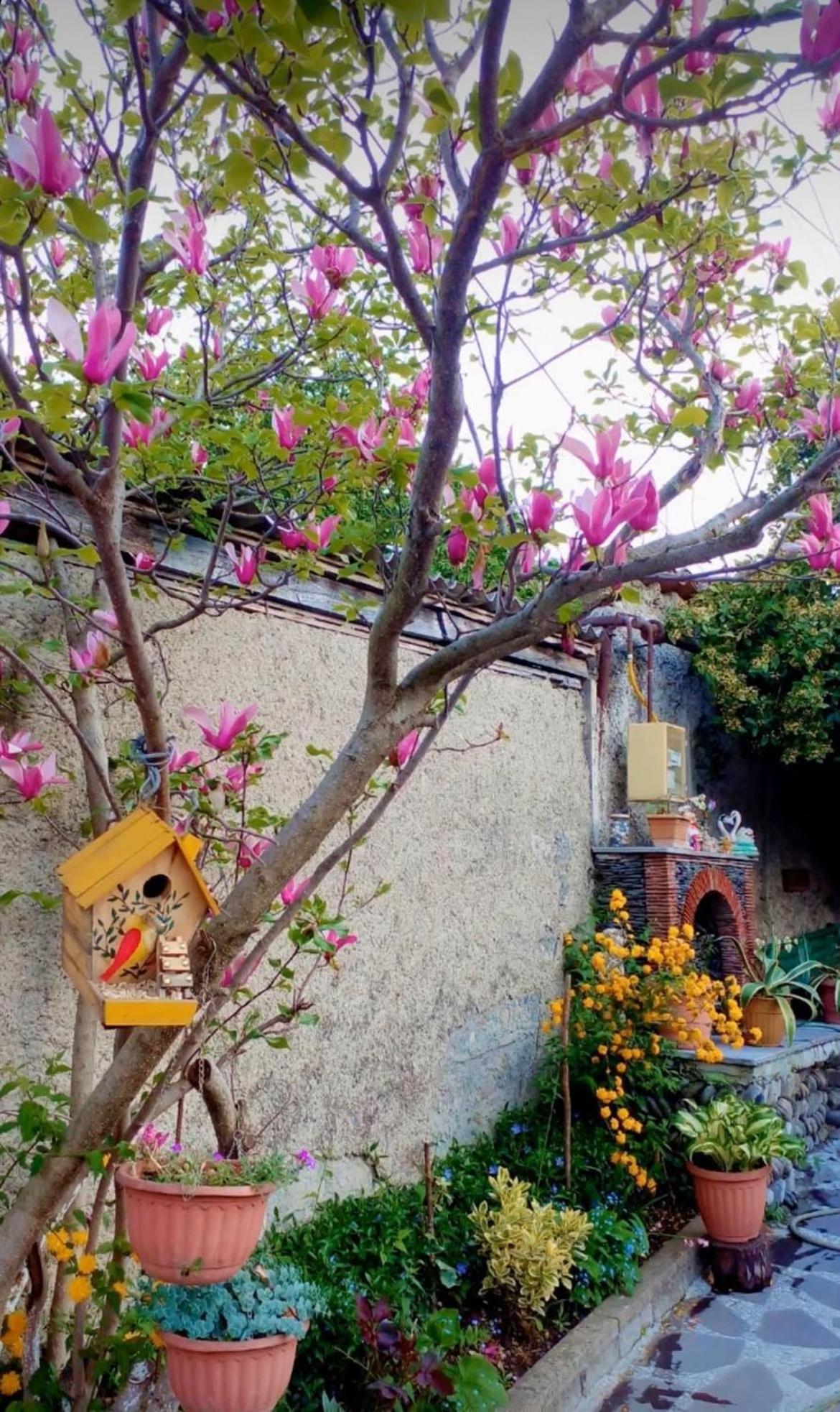 Guesthouse Giorgi Telawi Zewnętrze zdjęcie